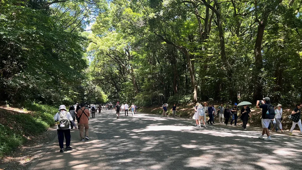 明治神宮の参道