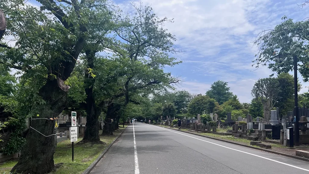 谷中霊園
